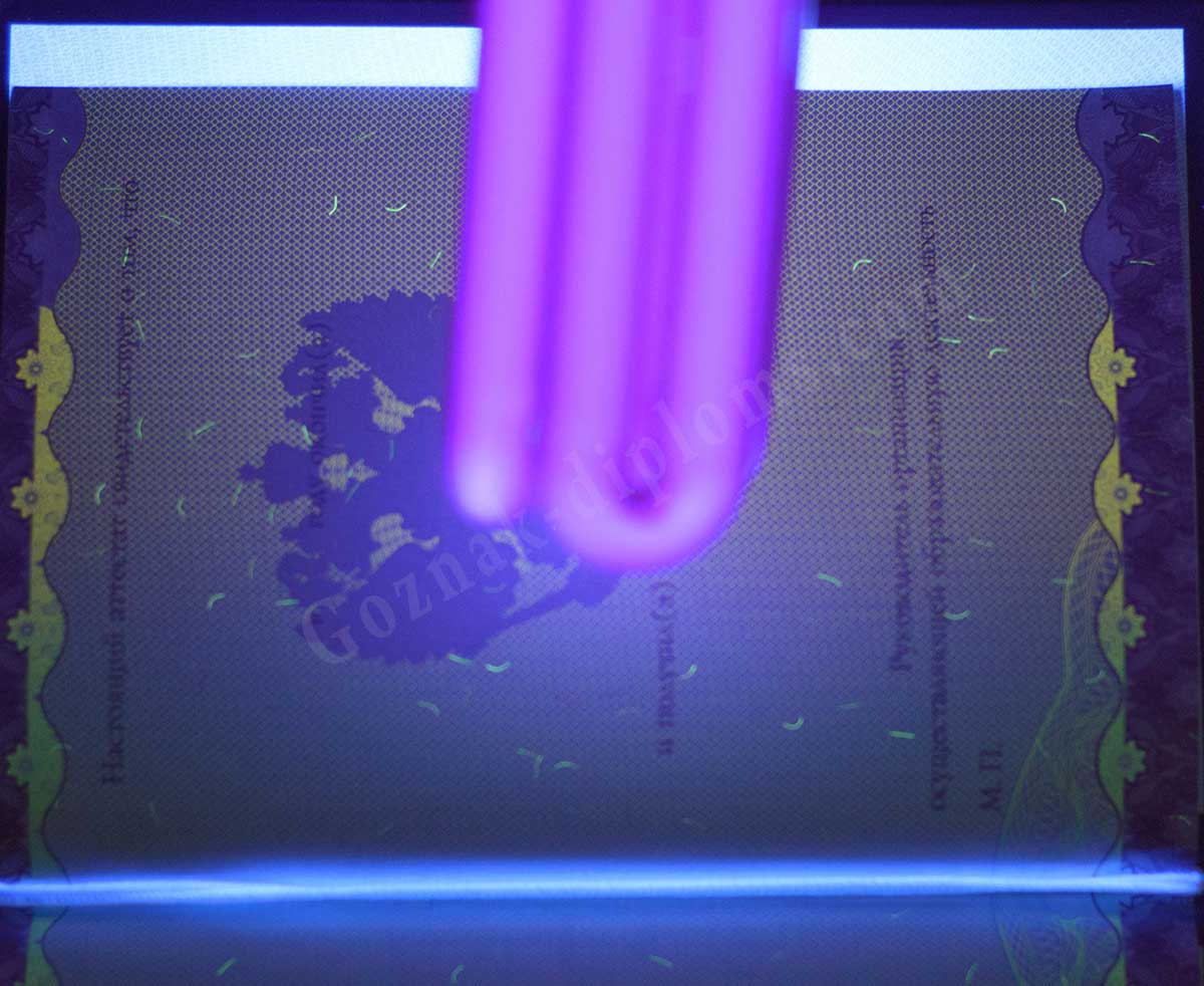 Аттестат за 9 класс 2014-2026